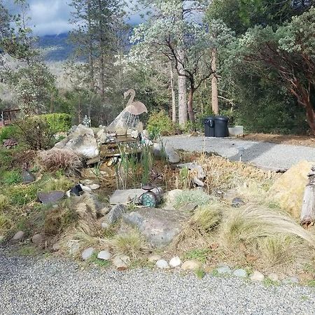 Uncle Grizz'S Cabin...Get Intouch With Nature Bass Lake Annex Exterior photo