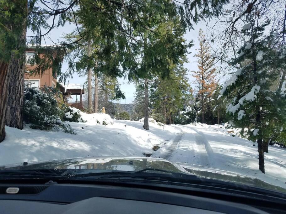 Uncle Grizz'S Cabin...Get Intouch With Nature Bass Lake Annex Exterior photo
